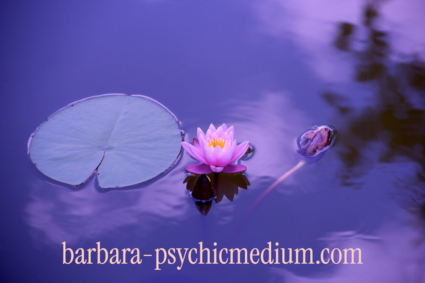 Are you an old soul? Signs & meaning Barbara Psychic Medium