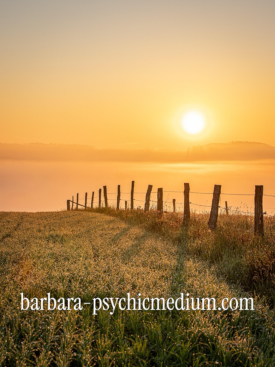 Personal Guide Reading – connect with your spirit guide Barbara Psychic Medium