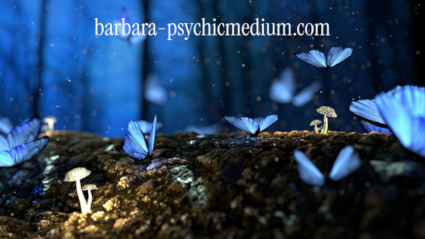 Are you a highly sensitive person (HSP)? Signs & tips Barbara Psychic Medium